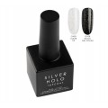 Holo Top Coat Silver No Wipe